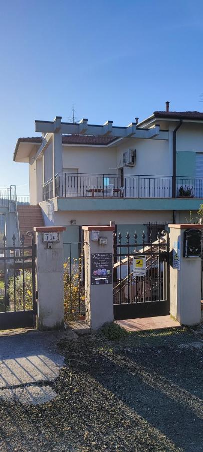 Hotel Vivi Conero Ankona Zewnętrze zdjęcie